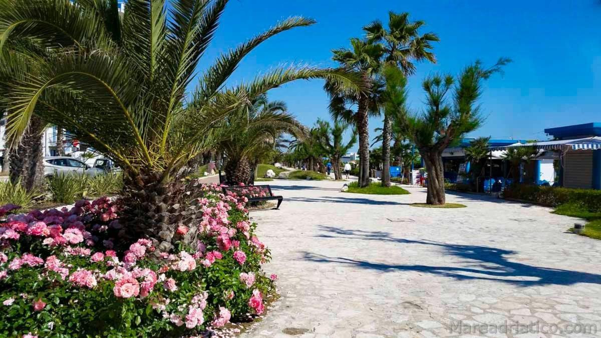 B&B Al Fiume Colonnella Kültér fotó